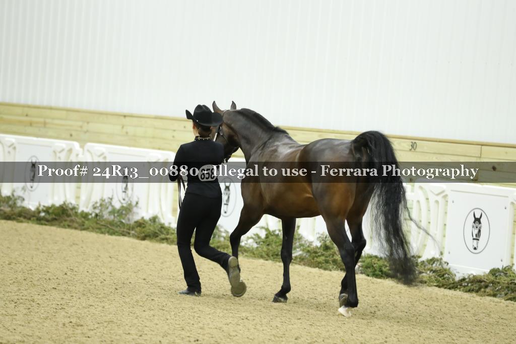 Proof Number 24R13_00880