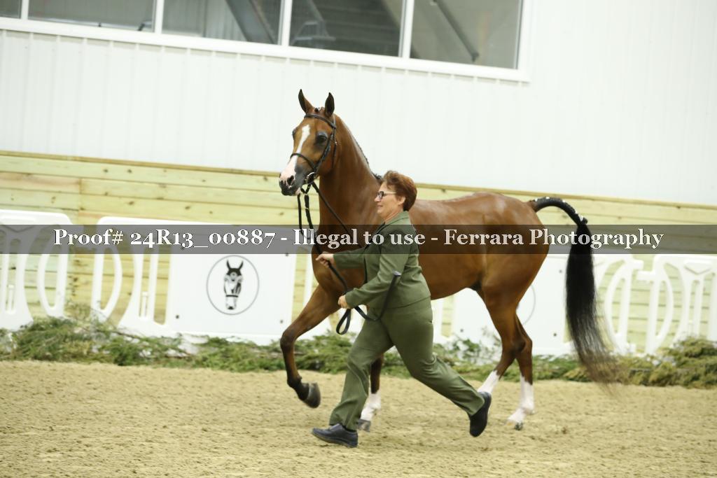 Proof Number 24R13_00887