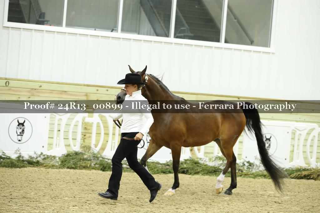Proof Number 24R13_00899