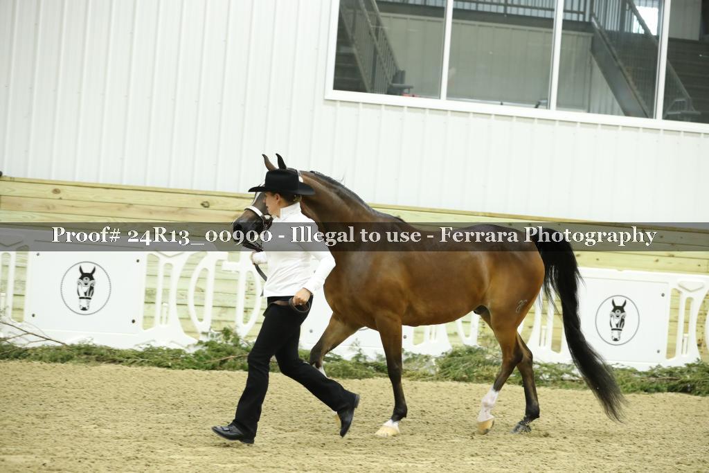 Proof Number 24R13_00900