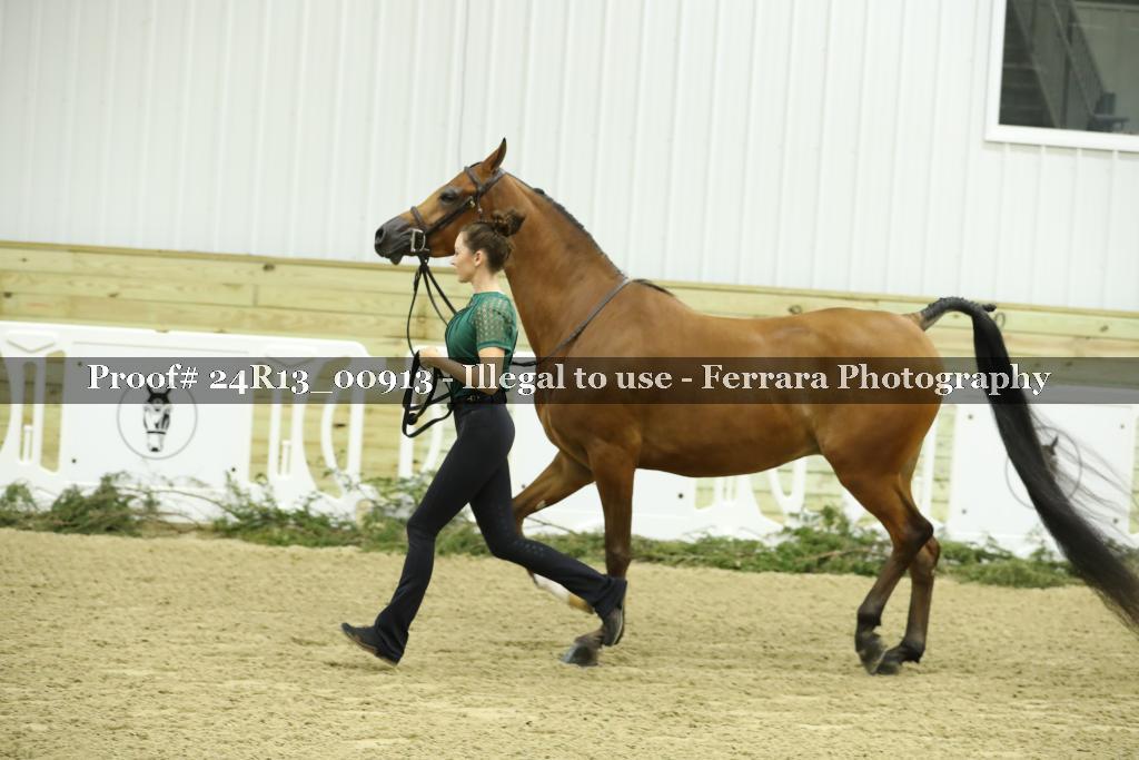 Proof Number 24R13_00913