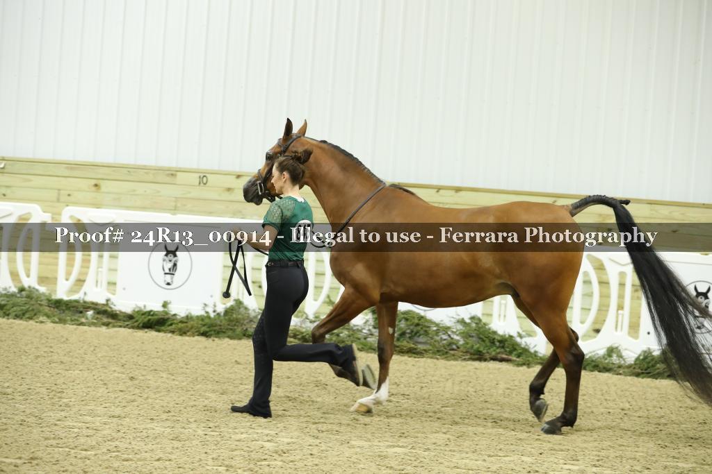 Proof Number 24R13_00914