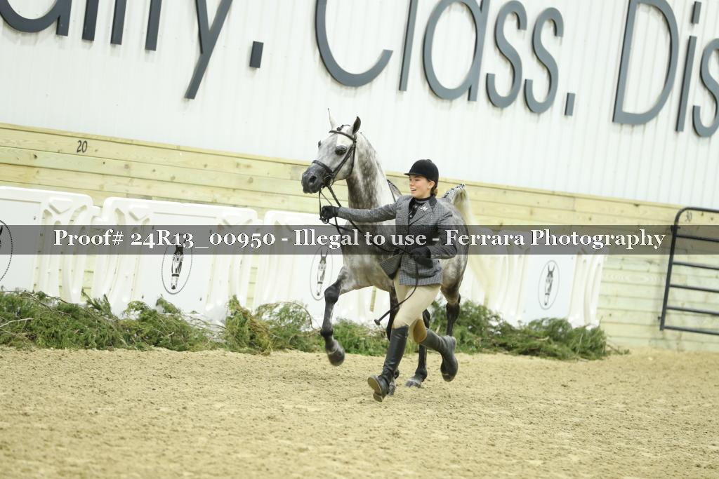 Proof Number 24R13_00950