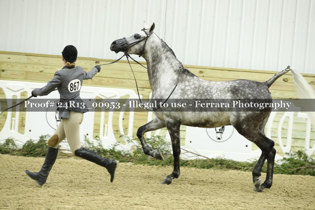 Proof Number 24R13_00953