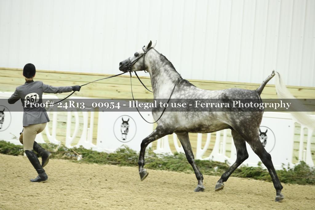 Proof Number 24R13_00954