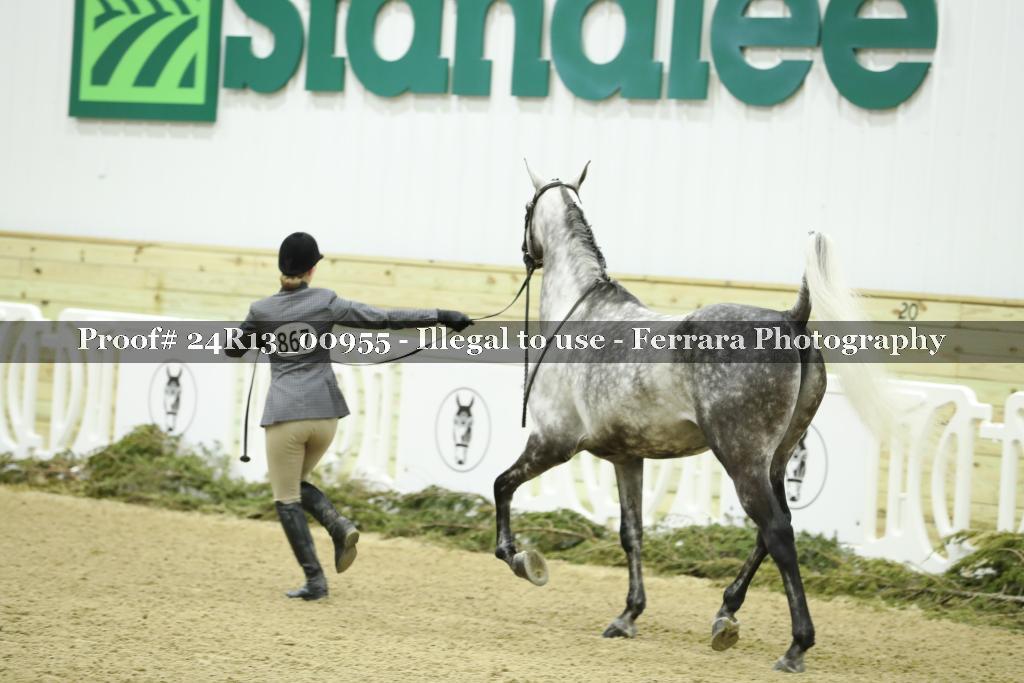 Proof Number 24R13_00955