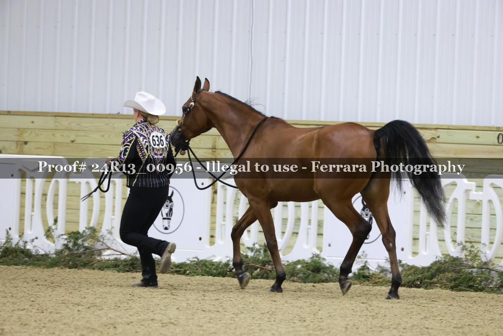 Proof Number 24R13_00956