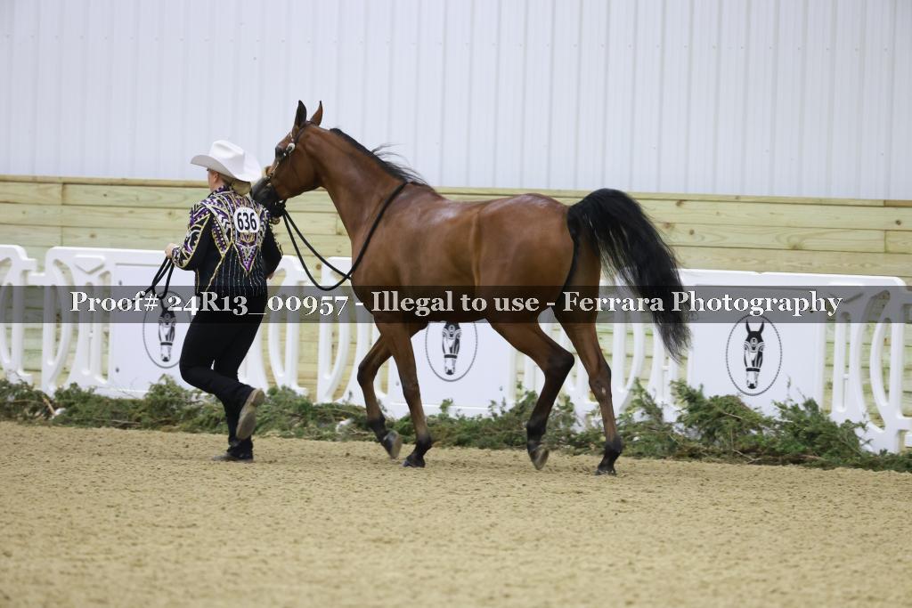 Proof Number 24R13_00957