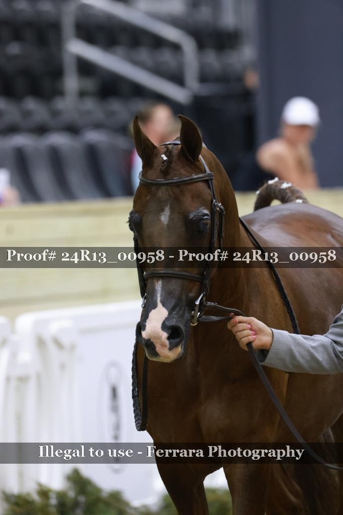 Proof Number 24R13_00958