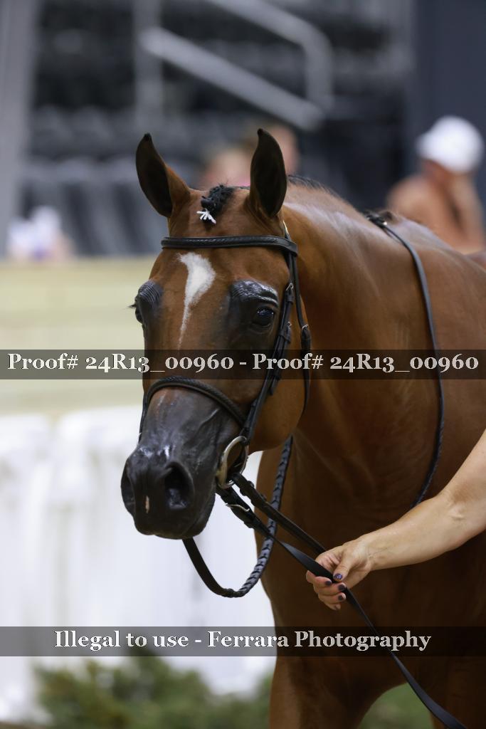Proof Number 24R13_00960