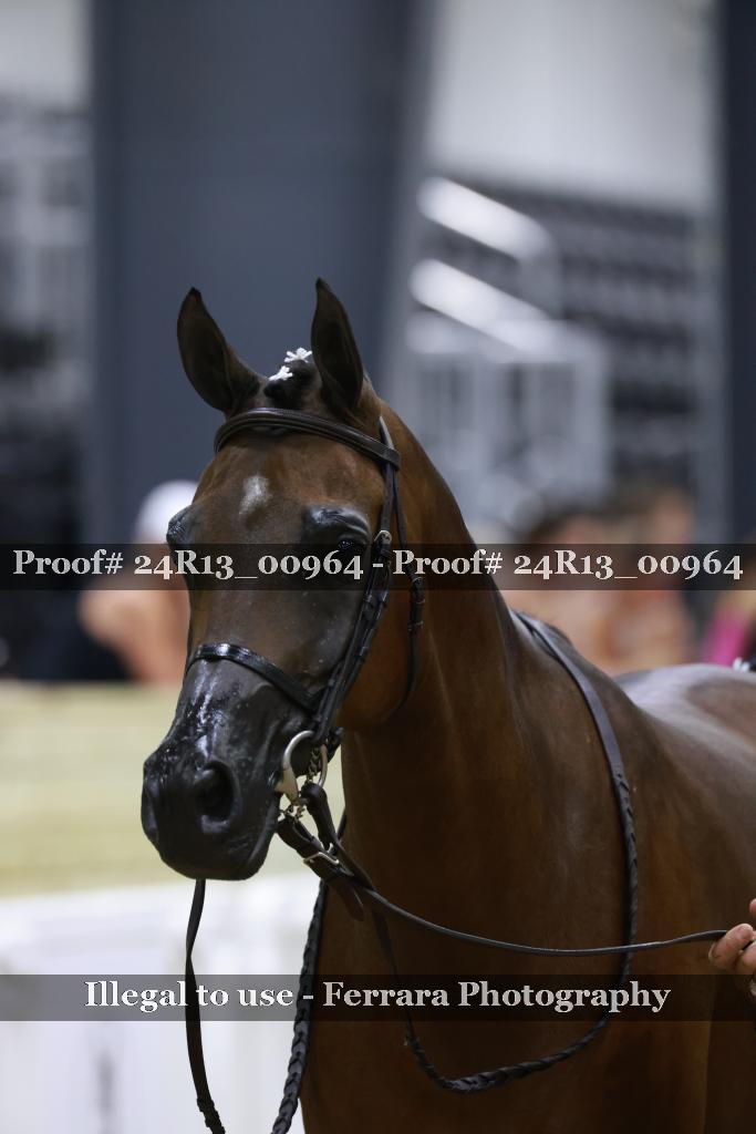 Proof Number 24R13_00964