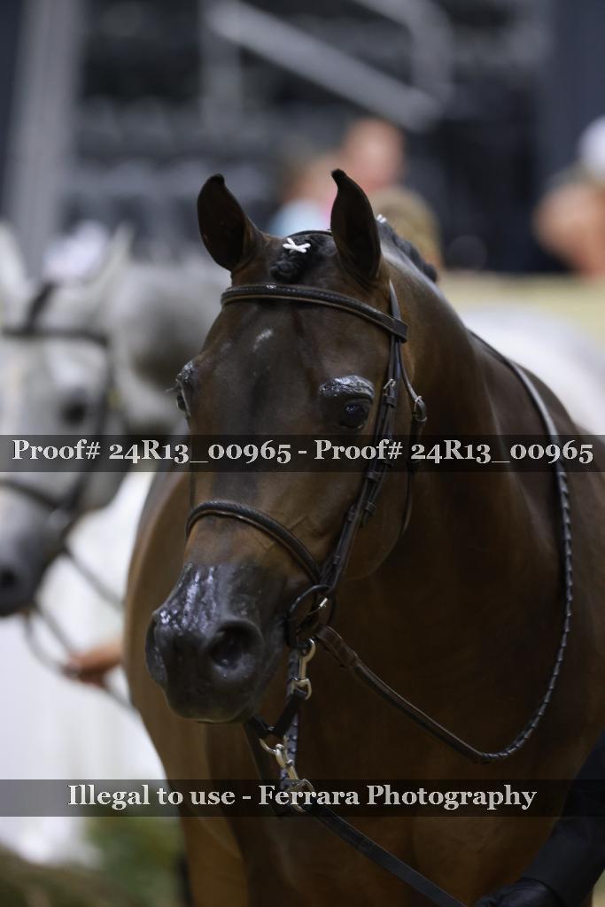 Proof Number 24R13_00965