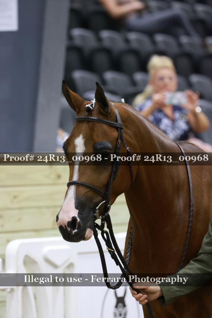 Proof Number 24R13_00968