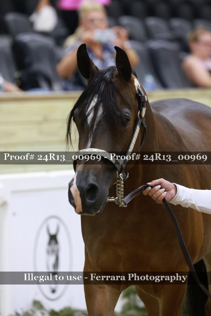 Proof Number 24R13_00969