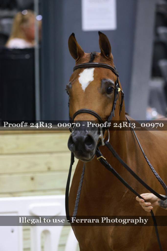 Proof Number 24R13_00970