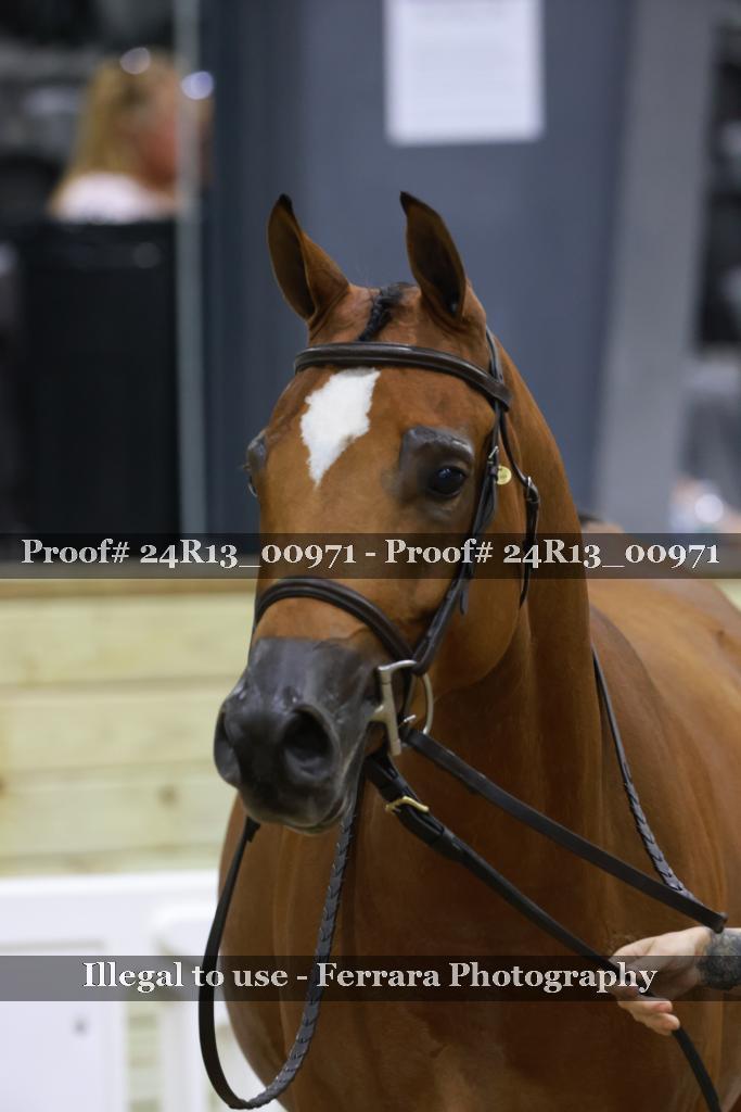 Proof Number 24R13_00971