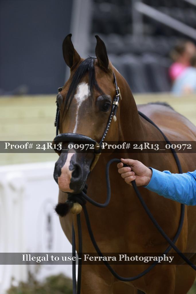 Proof Number 24R13_00972