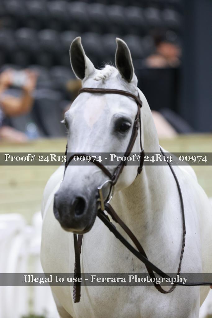 Proof Number 24R13_00974