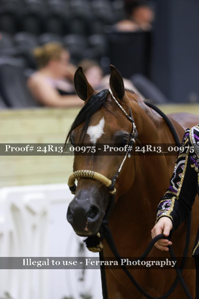 Proof Number 24R13_00975