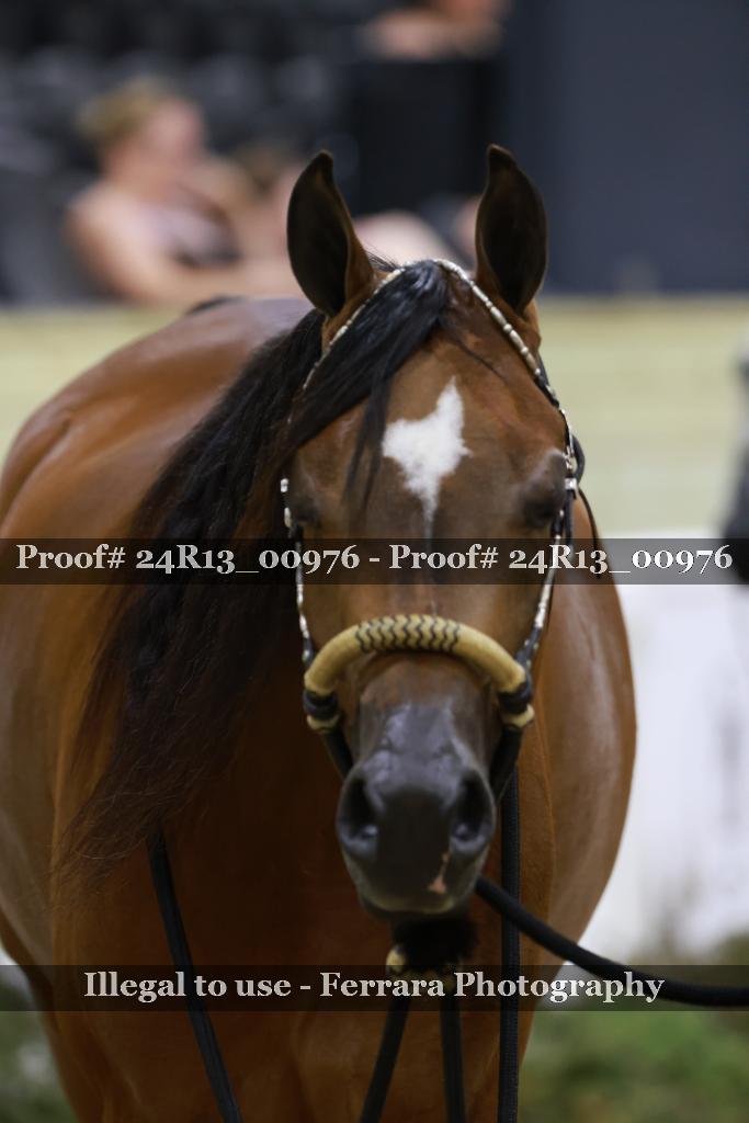 Proof Number 24R13_00976