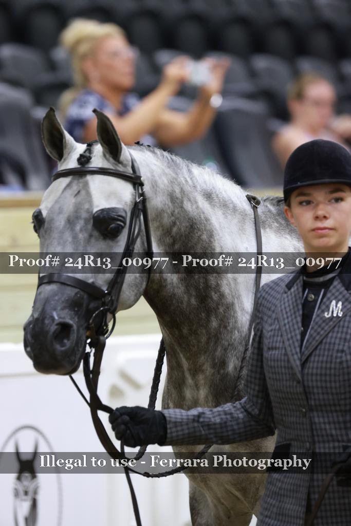 Proof Number 24R13_00977