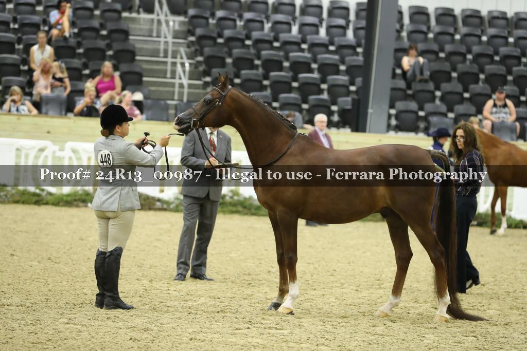 Proof Number 24R13_00987