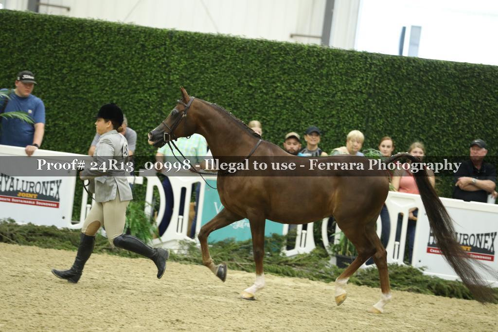 Proof Number 24R13_00998