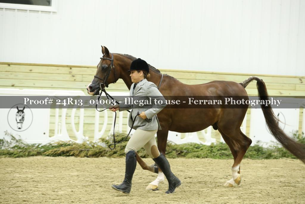 Proof Number 24R13_01003