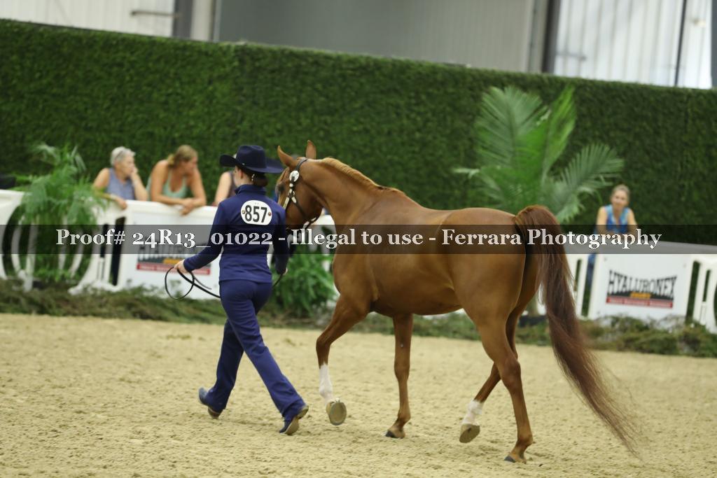 Proof Number 24R13_01022