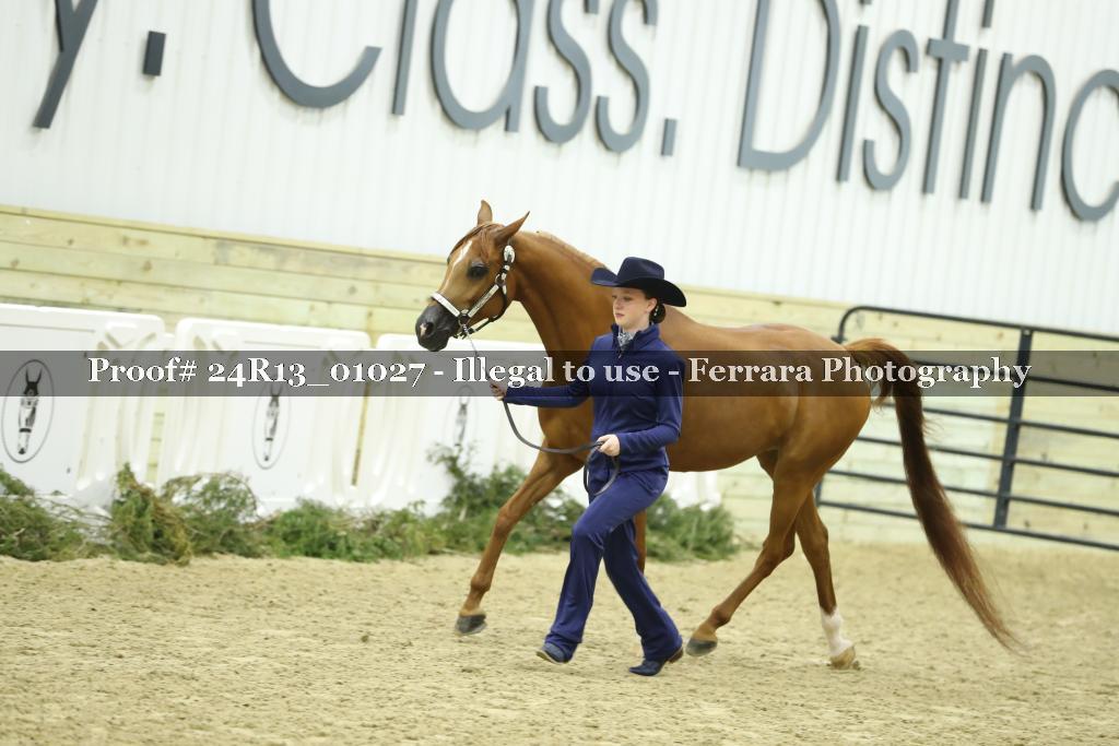 Proof Number 24R13_01027