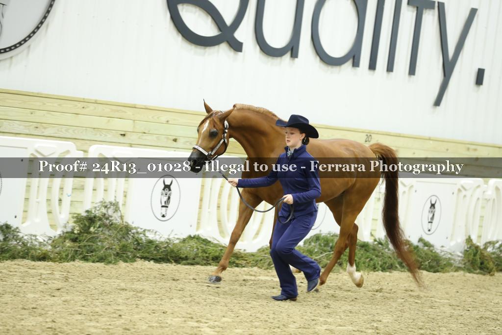 Proof Number 24R13_01028