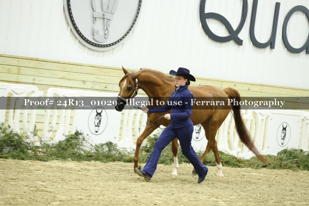 Proof Number 24R13_01029
