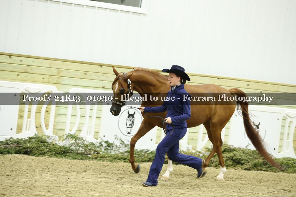 Proof Number 24R13_01030