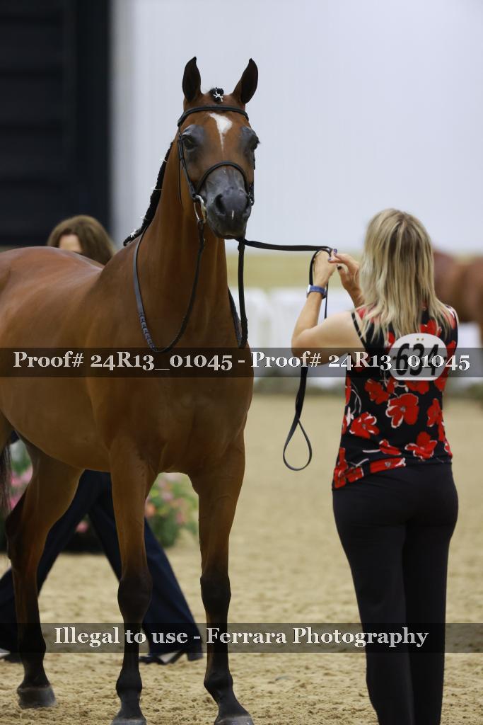 Proof Number 24R13_01045