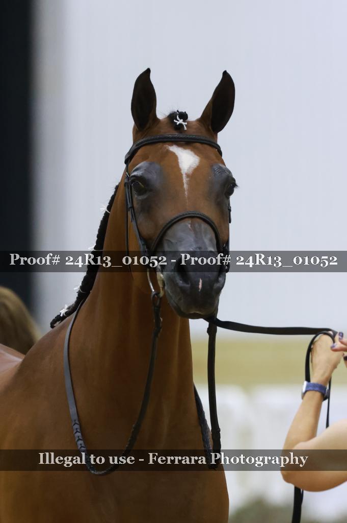 Proof Number 24R13_01052