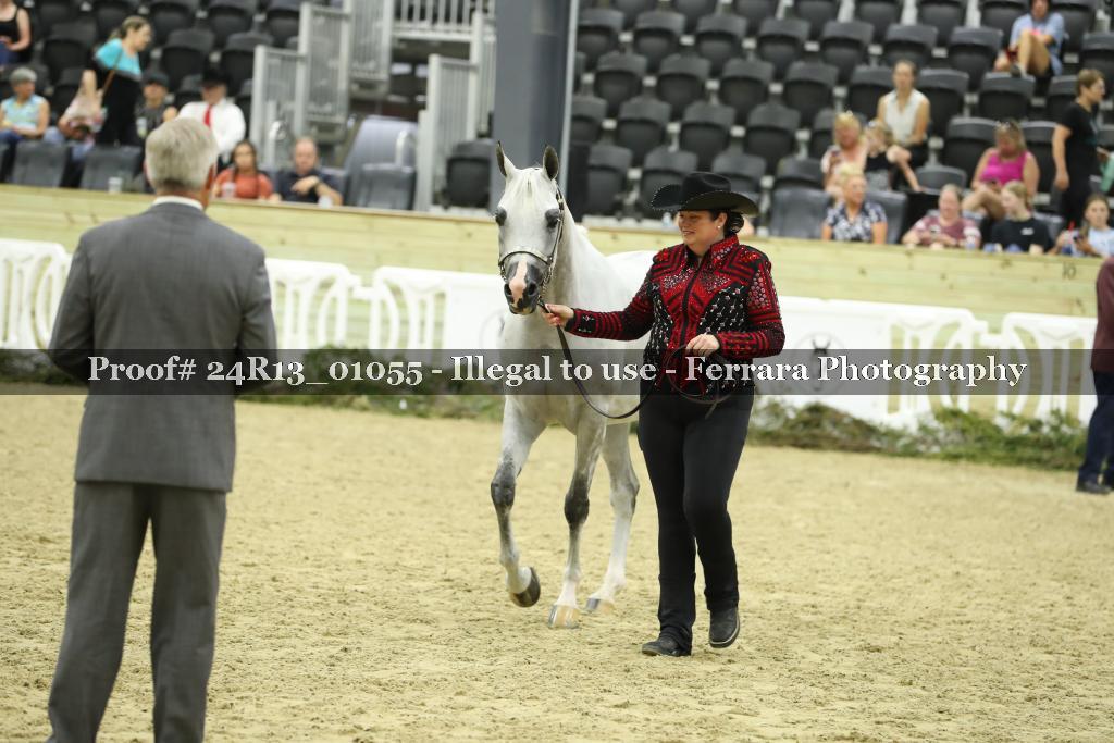 Proof Number 24R13_01055