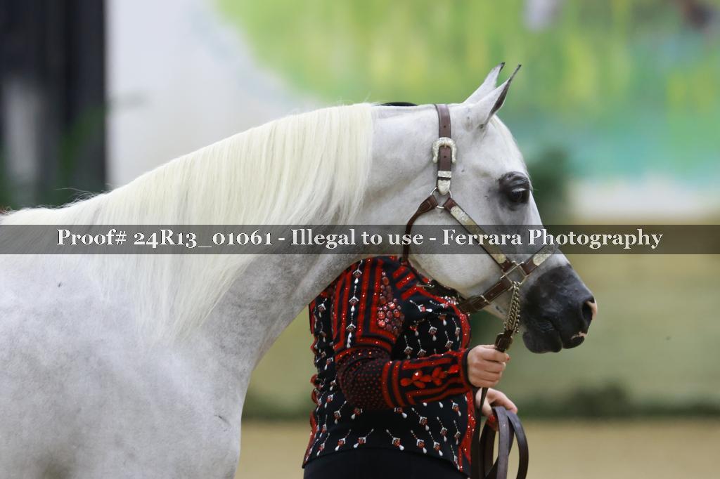 Proof Number 24R13_01061