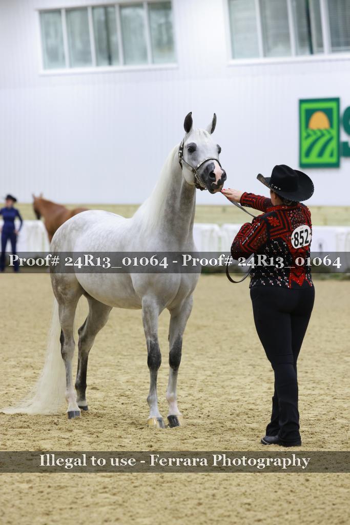 Proof Number 24R13_01064