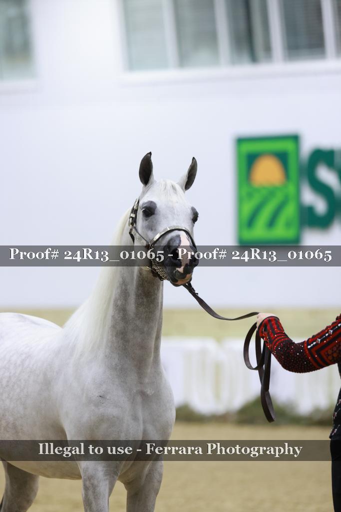 Proof Number 24R13_01065
