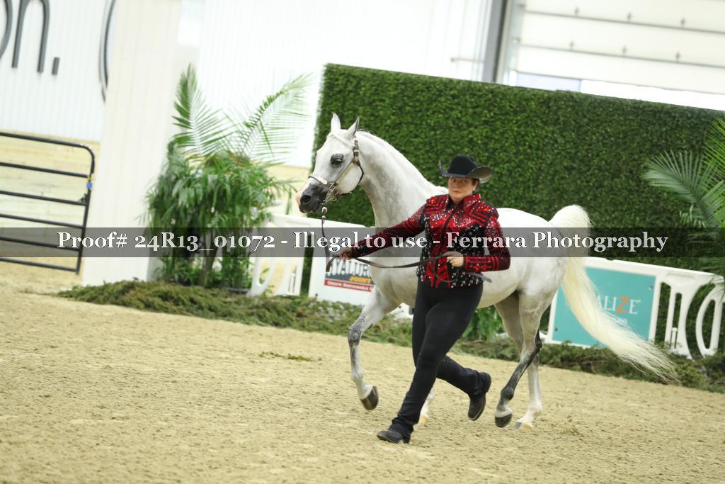 Proof Number 24R13_01072