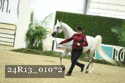 24R13_01072 thumbnail