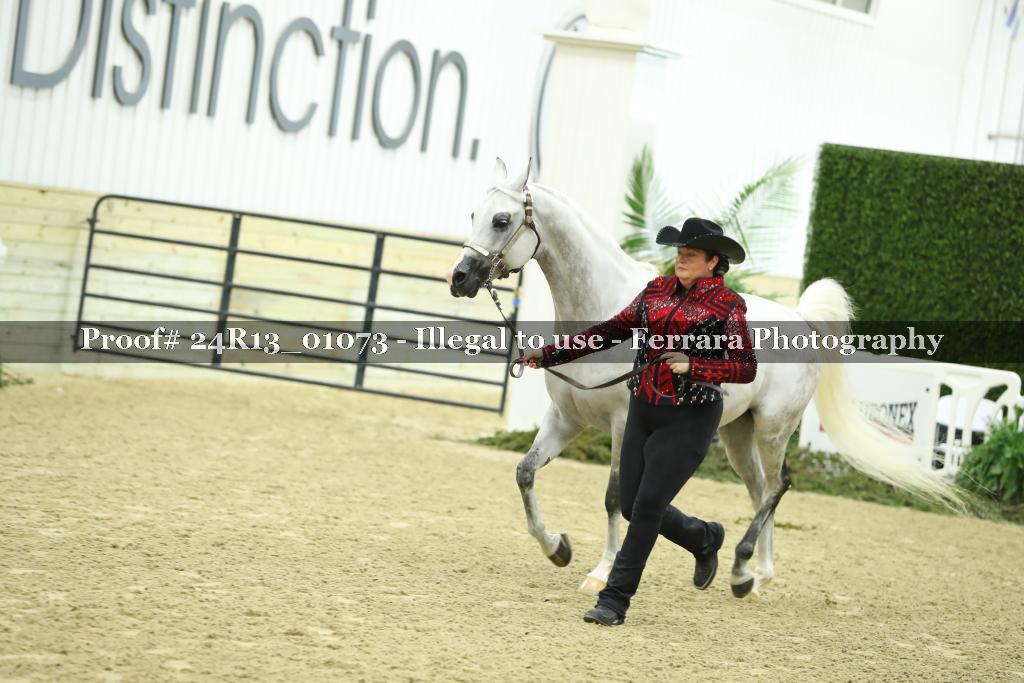Proof Number 24R13_01073