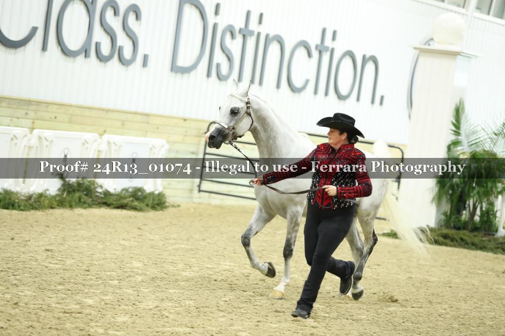 Proof Number 24R13_01074
