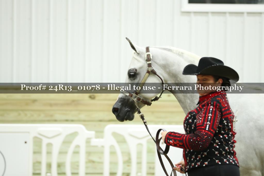 Proof Number 24R13_01078