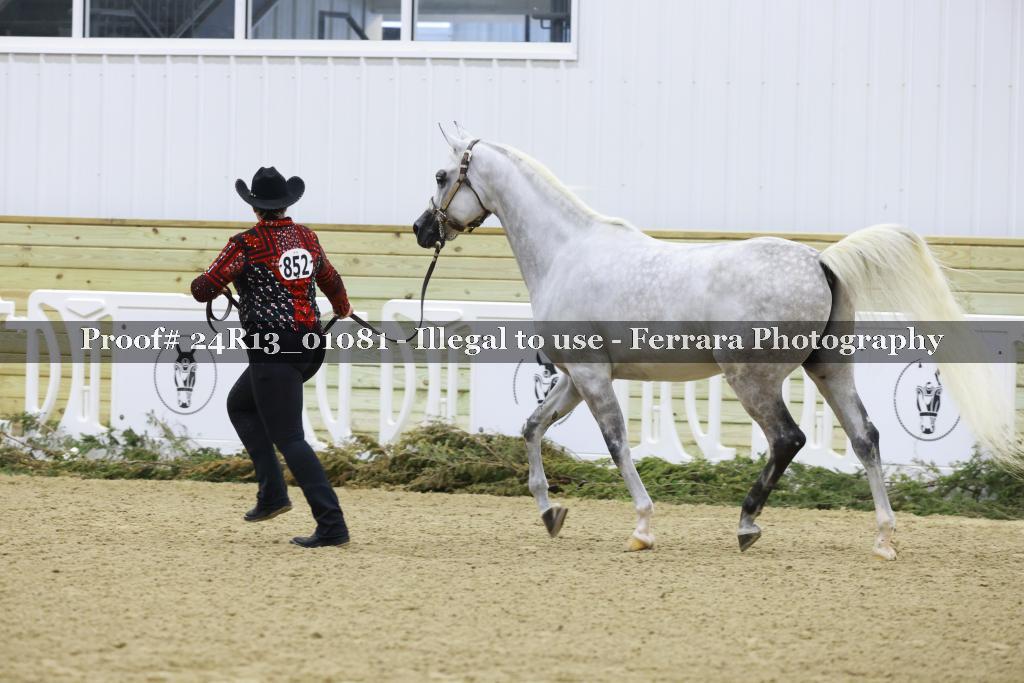 Proof Number 24R13_01081