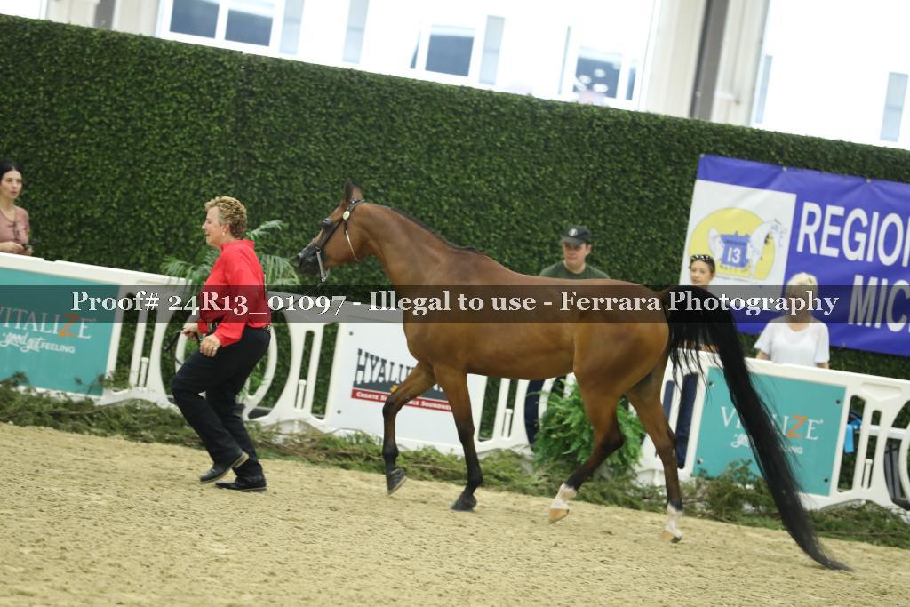 Proof Number 24R13_01097