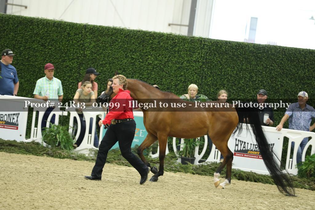 Proof Number 24R13_01099