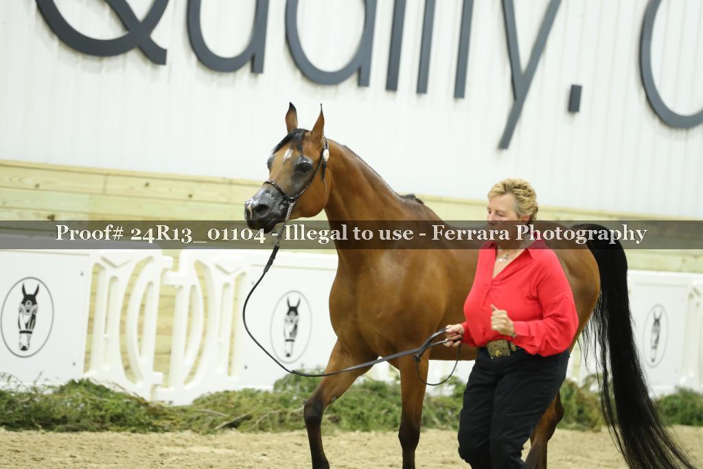 Proof Number 24R13_01104