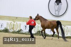 24R13_01112 thumbnail
