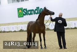 24R13_01114 thumbnail